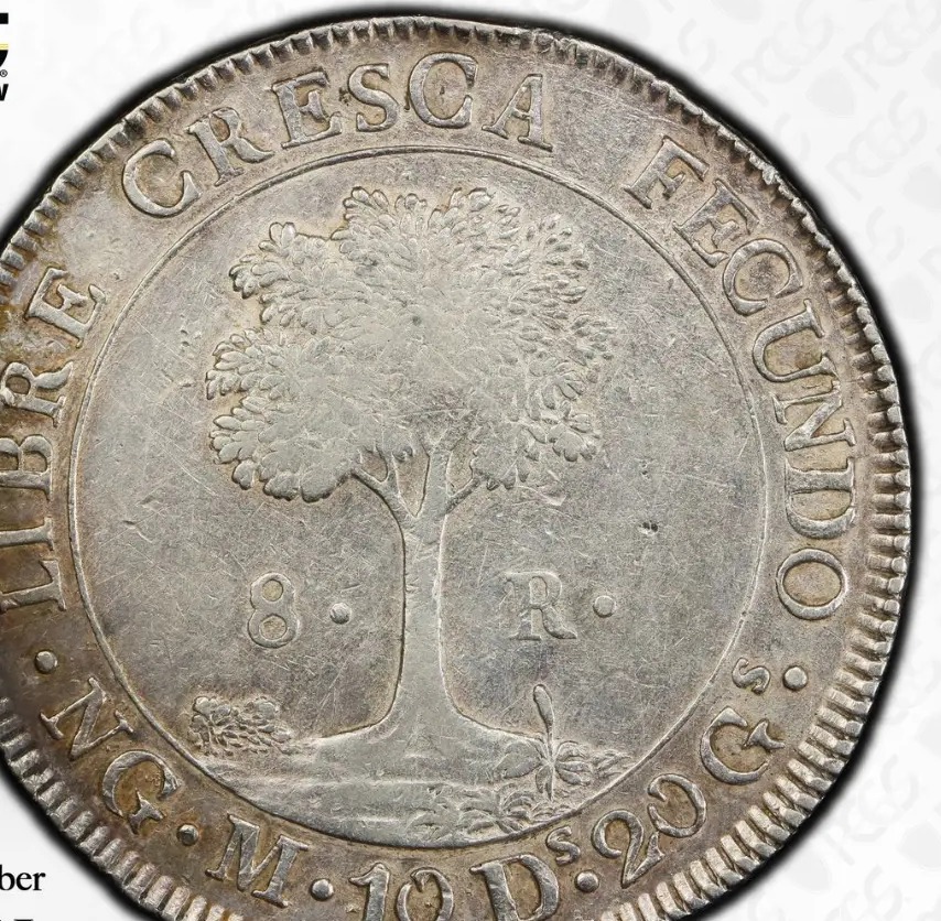 1835 8 Reales - NG M, 10D 20Gs reverse